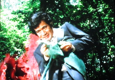 イメージ 27