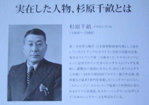 イメージ 8