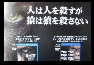 イメージ 7