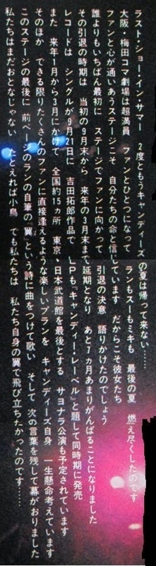イメージ 13