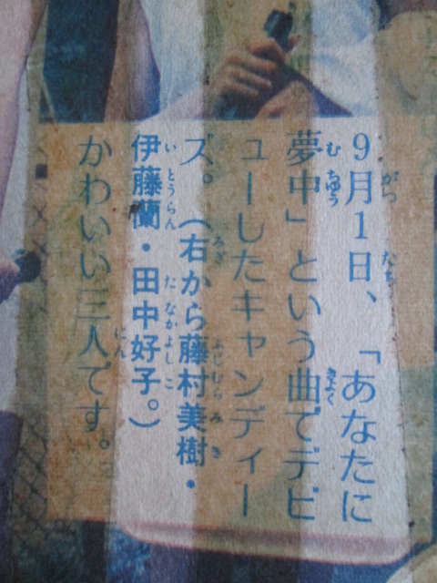 イメージ 3