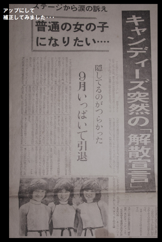 イメージ 7