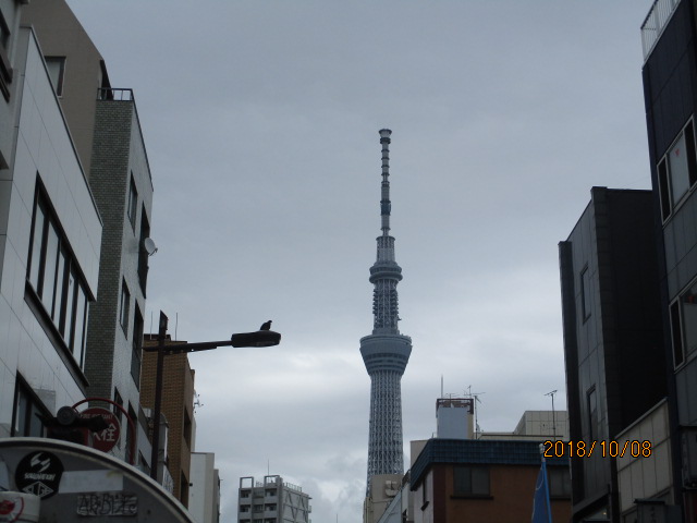 イメージ 6