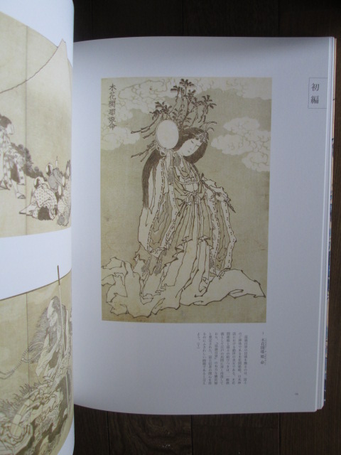 イメージ 14