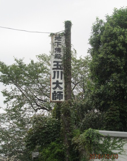 イメージ 5