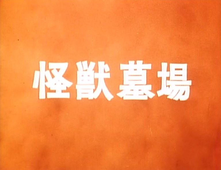 イメージ 13