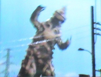 イメージ 15