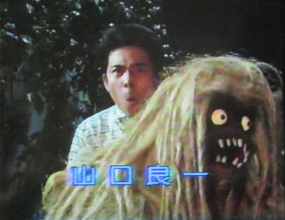 イメージ 8