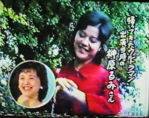 イメージ 14