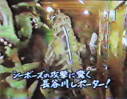 イメージ 33