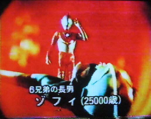イメージ 10