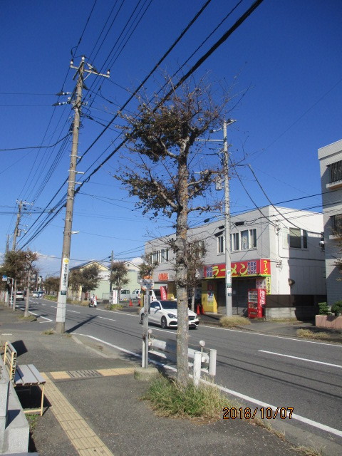 イメージ 20