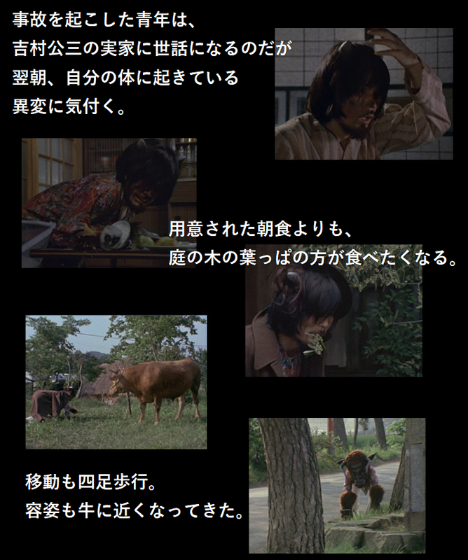 イメージ 8