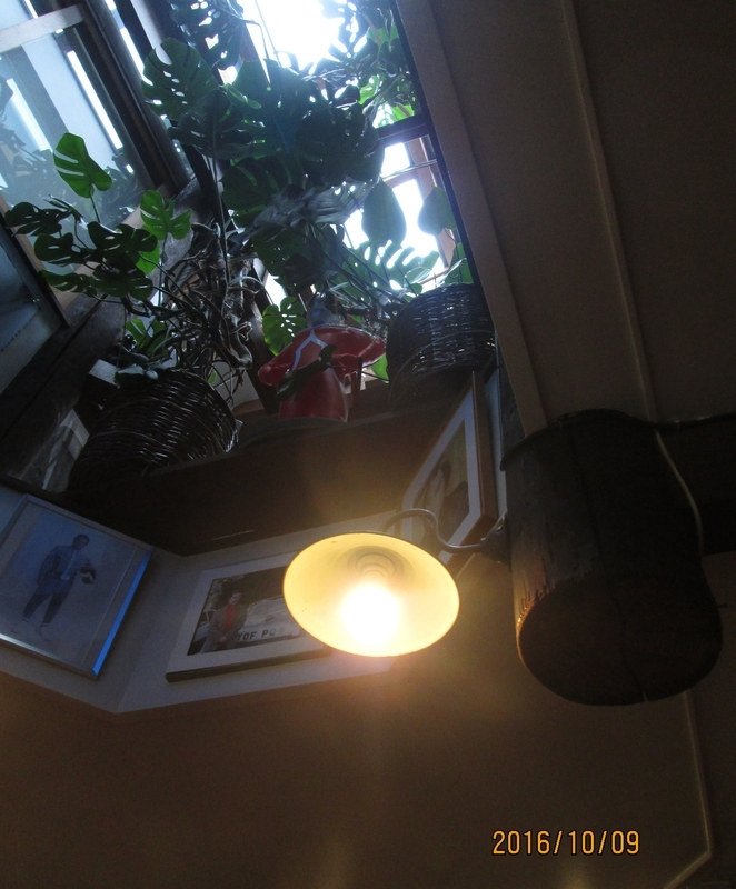 イメージ 5