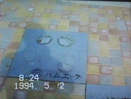イメージ 7