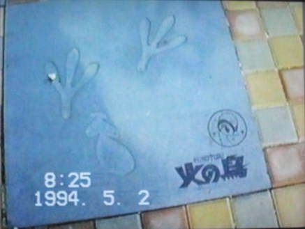 イメージ 9