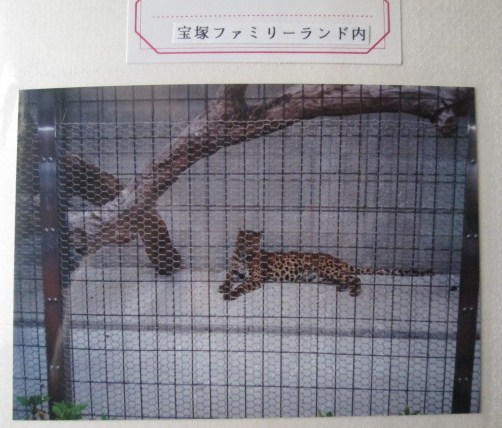 イメージ 12