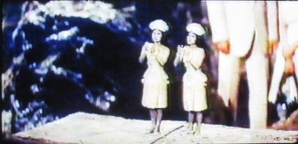 イメージ 41
