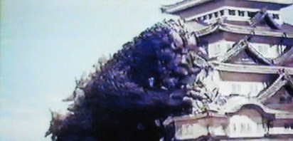 イメージ 29