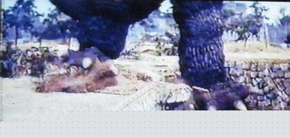 イメージ 32