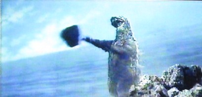 イメージ 43