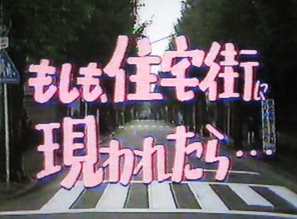 イメージ 31