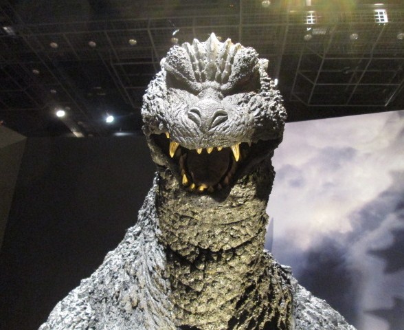 イメージ 19