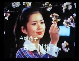 イメージ 8