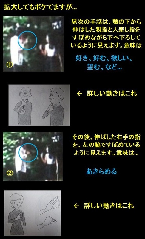 イメージ 7