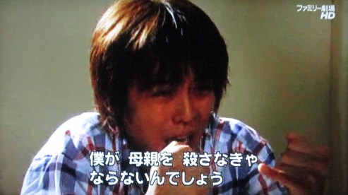 イメージ 13