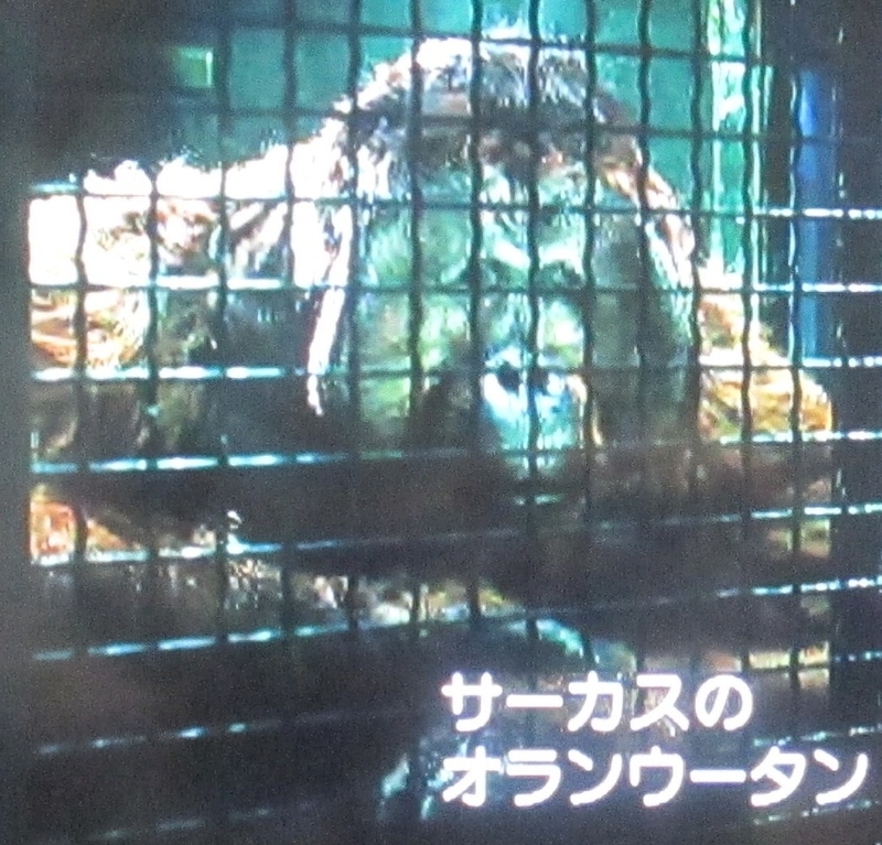 イメージ 11
