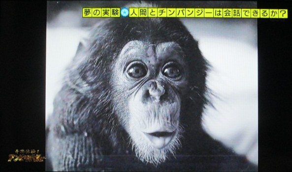 イメージ 12