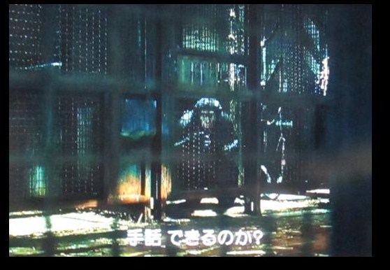 イメージ 9
