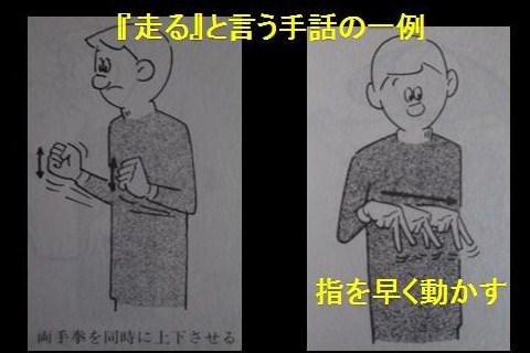 イメージ 9