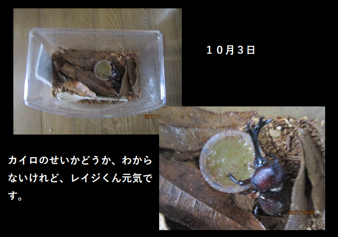 イメージ 2