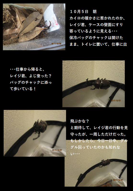 イメージ 4