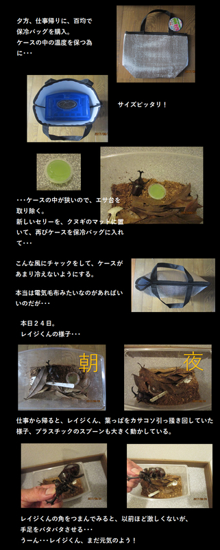 イメージ 4