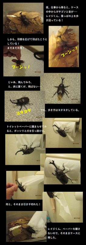 イメージ 4