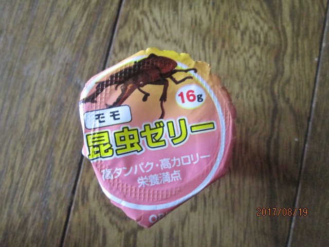 イメージ 7