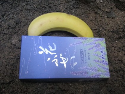 イメージ 13