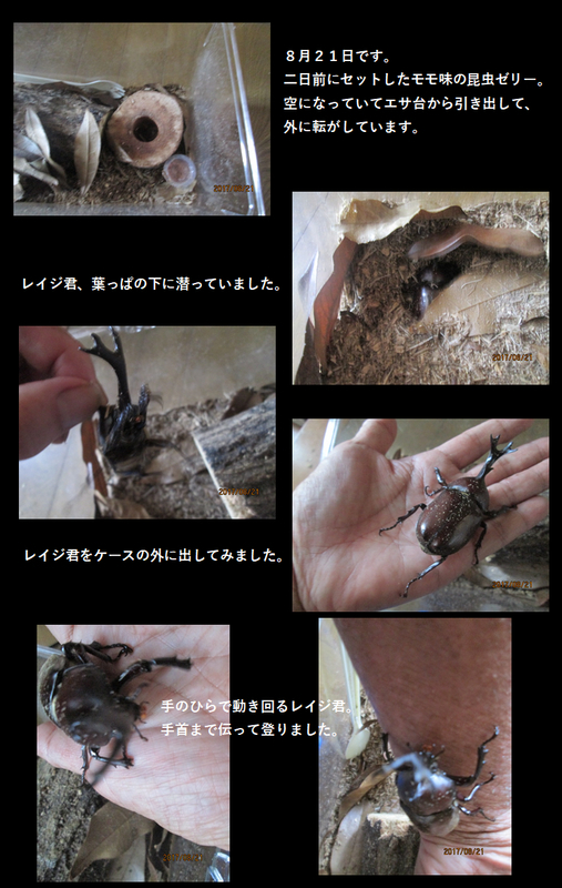 イメージ 1