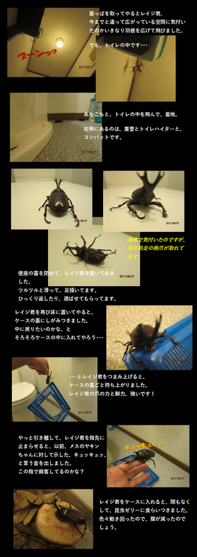 イメージ 3