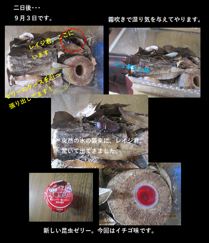イメージ 2