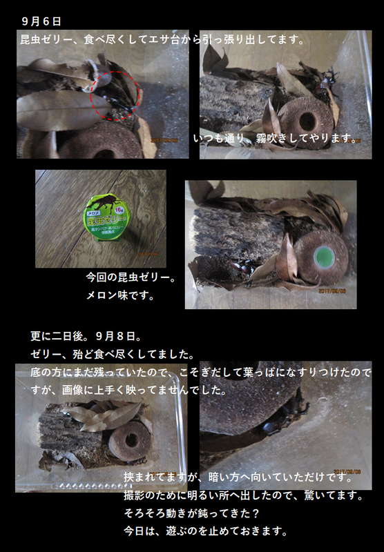 イメージ 3