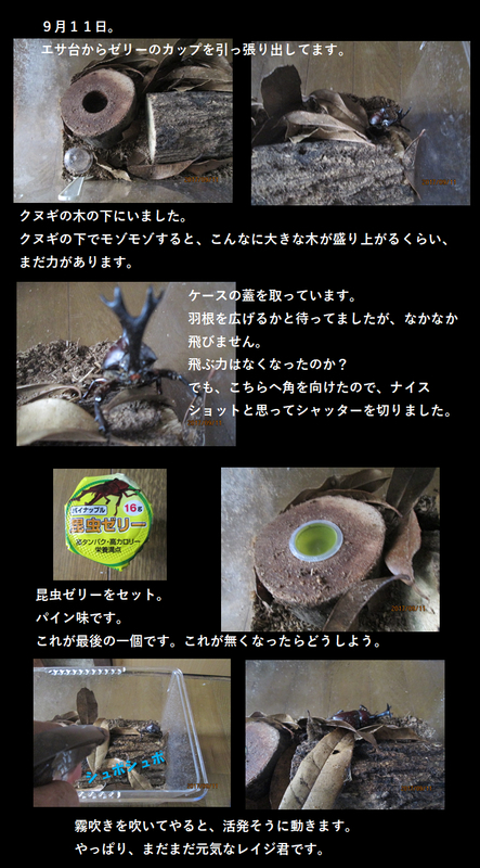 イメージ 5