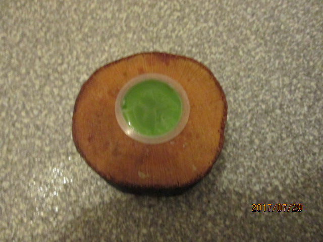 イメージ 12