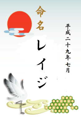 イメージ 14