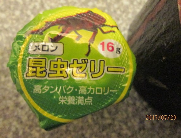 イメージ 10