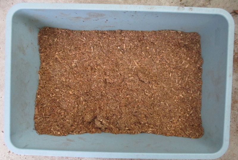 イメージ 4