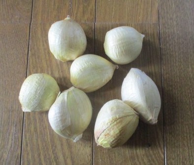 f:id:siegfried9th:20200822151602j:plain